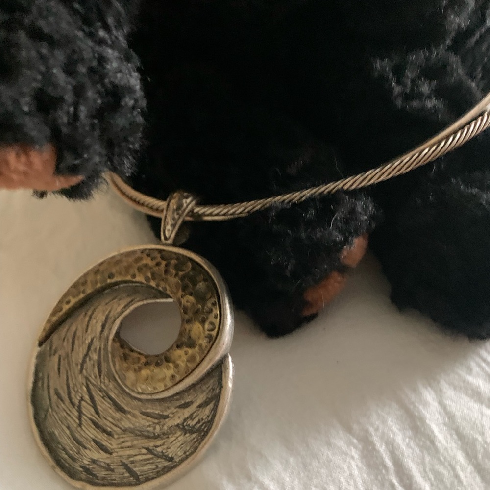 Beautiful vintage medallion including the choker